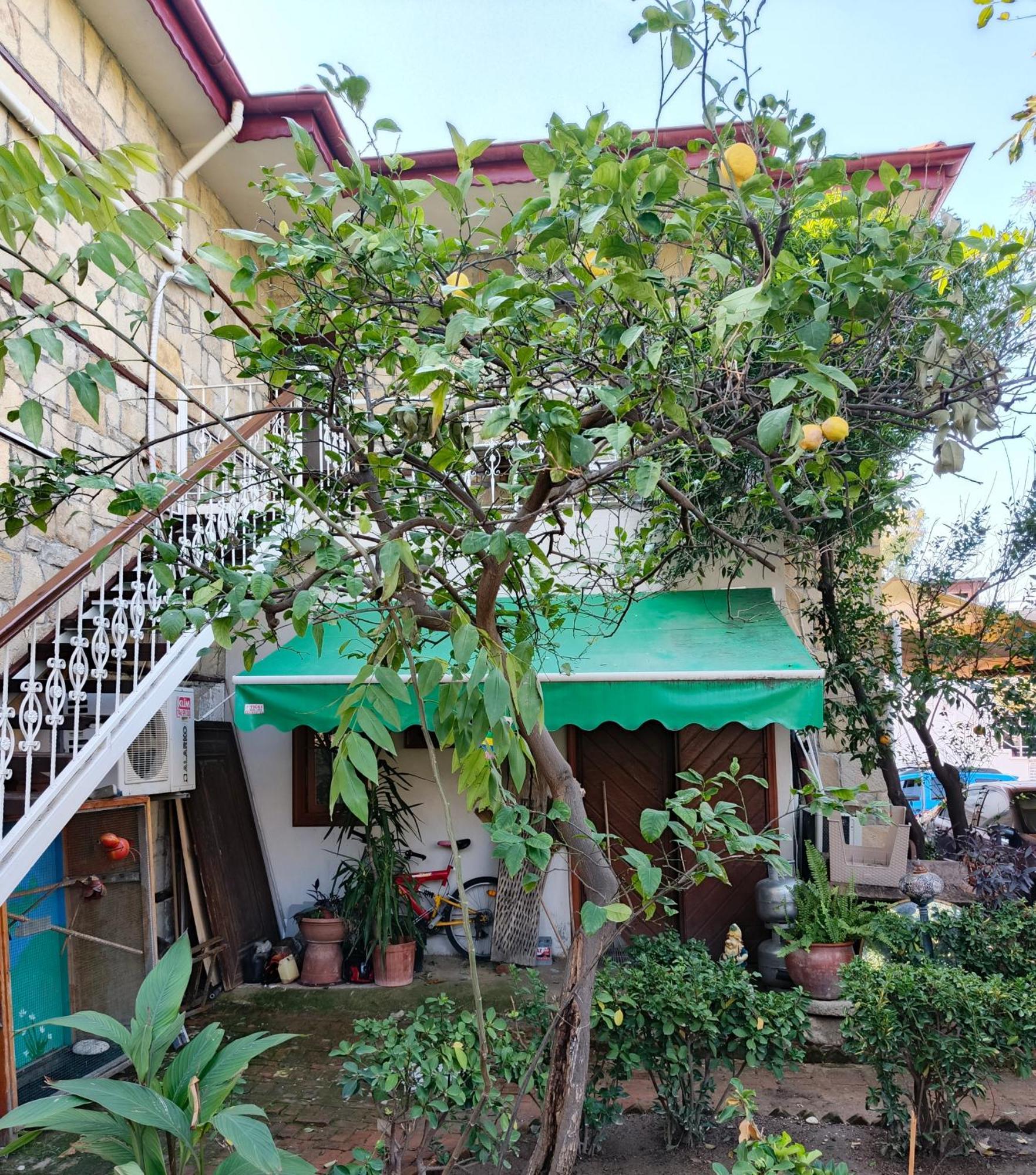 Beach House Apartment Side Bagian luar foto